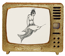 Joikt Anke Hachfeld TV Video